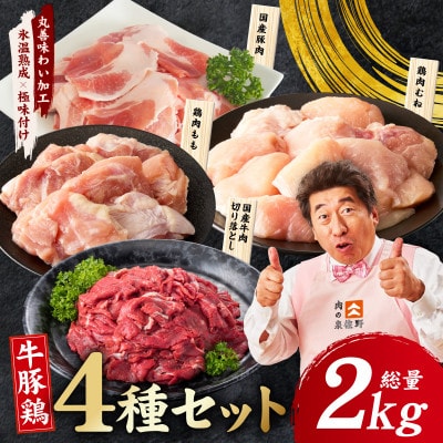 国産 牛豚鶏 4種セット 2kg 氷温熟成×極味付け 牛肉 豚肉 鶏肉 もも むね mrz0402