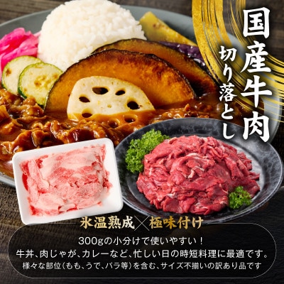 国産 牛豚鶏 4種セット 2kg 氷温熟成×極味付け 牛肉 豚肉 鶏肉 もも むね mrz0402