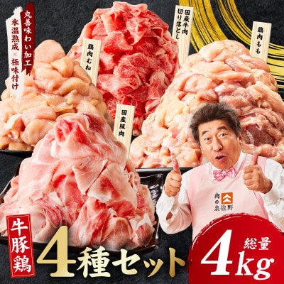国産 牛豚鶏 4種セット 4kg 氷温熟成×極味付け 牛肉 豚肉 鶏肉 もも むね mrz0403