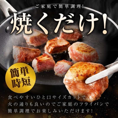 極上黒毛和牛ヒレ カットステーキ 合計 900g 氷温熟成×極味付け 牛肉 和牛 mrz0409