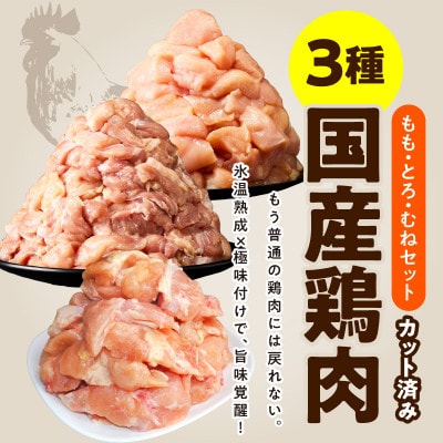 【氷温熟成×極味付け】国産鶏モモ・鶏とろ(肩肉)・鶏むね　3種セット 合計1.2kg mrz0410