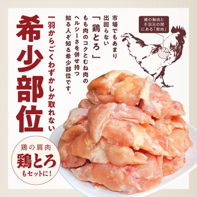 【氷温熟成×極味付け】国産鶏モモ・鶏とろ(肩肉)・鶏むね　3種セット 合計1.2kg mrz0410