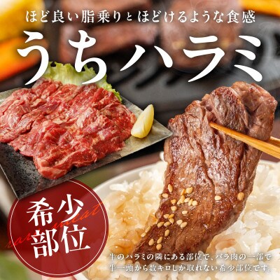 【氷温熟成】希少部位セット　牛うちハラミ800g&国産鶏とろ(肩肉)1.5kg mrz0411
