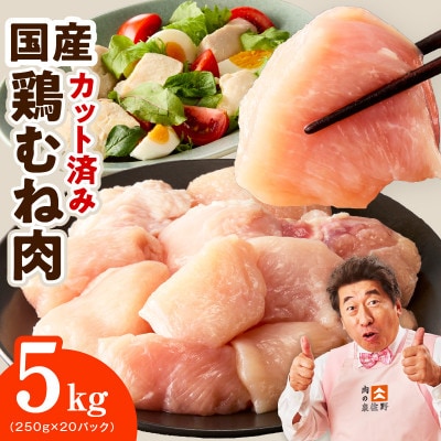 【カット済み】国産 鶏むね肉 5kg 氷温熟成×極味付け 小分け 250g×20P mrz0496