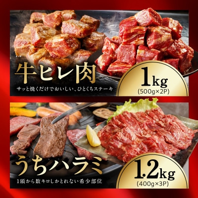 【氷温熟成×極味付け/特製ダレ】希少部位セット 合計9.1kg 小分け mrz0505