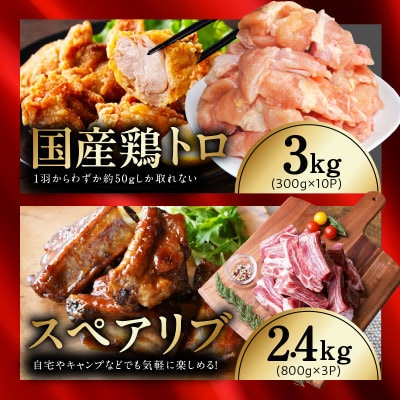 【氷温熟成×極味付け/特製ダレ】希少部位セット 合計9.1kg 小分け mrz0505