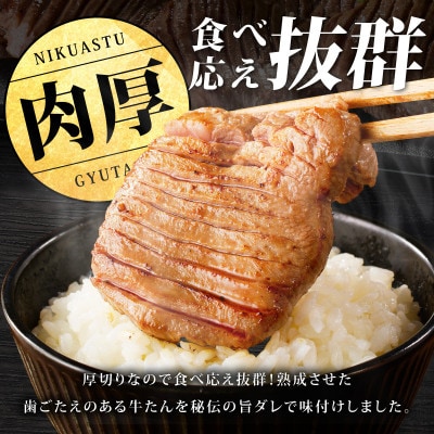 【期間限定】厚切り 牛たん & 牛ヒレ 1kg【氷温熟成×旨塩ダレ/特製ダレ】 mrz0314