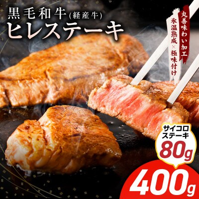 黒毛和牛 ヒレステーキ & サイコロステーキ 合計 480g【氷温熟成×極味付け】 mrz0319