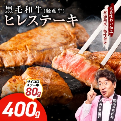 黒毛和牛 ヒレステーキ & サイコロステーキ 合計 480g【氷温熟成×極味付け】 mrz0319