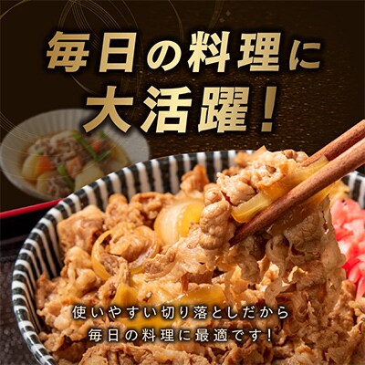 【毎月定期便】丸善味わい加工 国産 牛肉 切り落とし 900g×全3回 099Z136