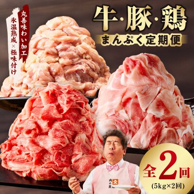 【毎月定期便】国産 牛肉&豚肉&鶏肉 まんぷく 5kg【氷温熟成×極味付け】 mrzZ019全2回