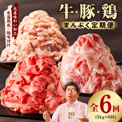 【毎月定期便】国産 牛肉&豚肉&鶏肉 まんぷく 5kg【氷温熟成×極味付け】mrzZ032全6回