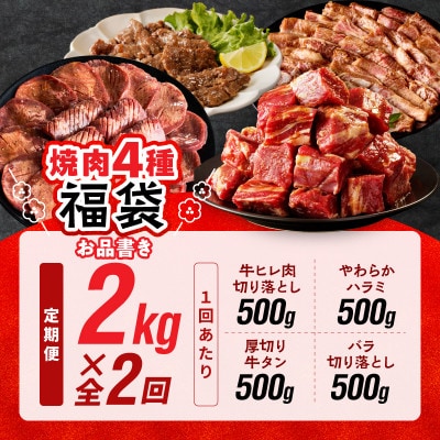 【毎月定期便】焼肉 福袋 4種セット 定期便 2kg【氷温熟成×特製ダレ】 mrzZ026全2回