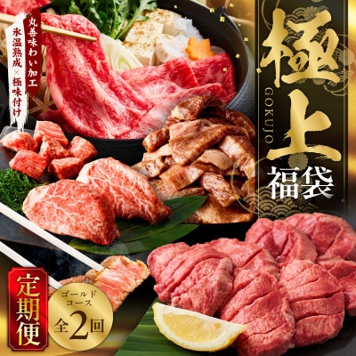 【毎月定期便】極上福袋 ゴールドコース 【5種 食べ比べ 氷温熟成×極味付け】 mrzZ029全2回