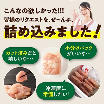 【毎月定期便】国産 鶏むね肉 4kg【氷温熟成×極味付け 小分け とり】全3回 mrzZ100