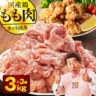 【毎月定期便】国産 鶏もも肉 3kg【氷温熟成×極味付け 小分け　訳あり】全3回 mrzZ040