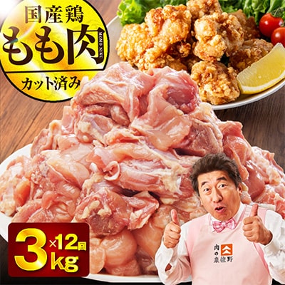 【毎月定期便】国産 鶏もも肉 3kg【氷温熟成×極味付け 小分け　訳あり】全12回 mrzZ042