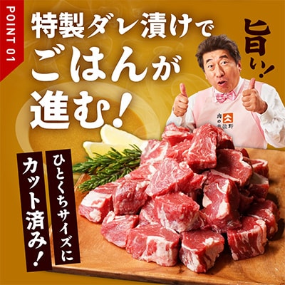 【毎月定期便】牛ヒレ肉 切り落とし 1kg【氷温熟成×特製ダレ カット済み】全2回 mrzZ049