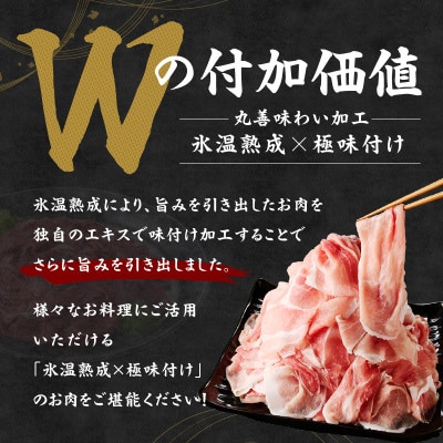 【毎月定期便】国産 豚肉 切り落とし 4kg【氷温熟成×極味付け ぶたにく 】 mrzZ067全2回