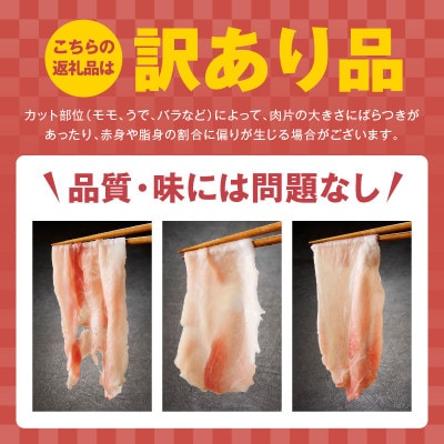 【毎月定期便】国産 豚肉 切り落とし 4kg【氷温熟成×極味付け ぶたにく 】 mrzZ067全2回