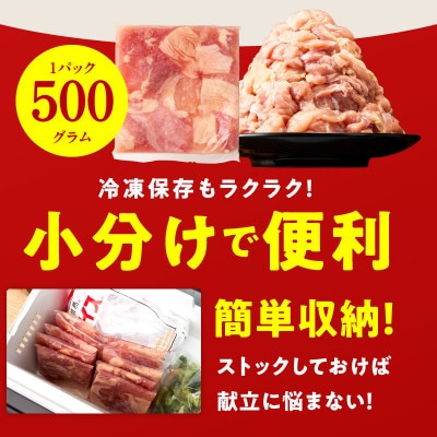 【毎月定期便】国産 鶏肉もも 3kg【氷温熟成×極味付け 小分け カット済】 mrzZ079全2回