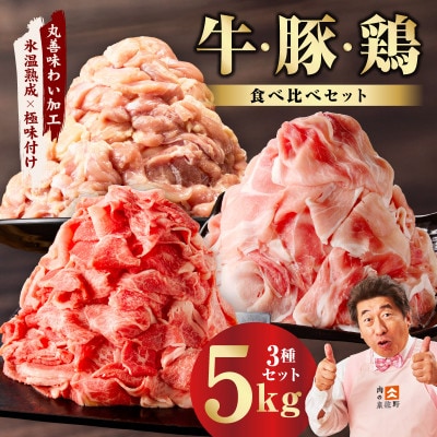 【毎月定期便】国産 牛肉&豚肉&鶏肉セット 5kg【氷温熟成×極味付け】 mrzZ082全2回