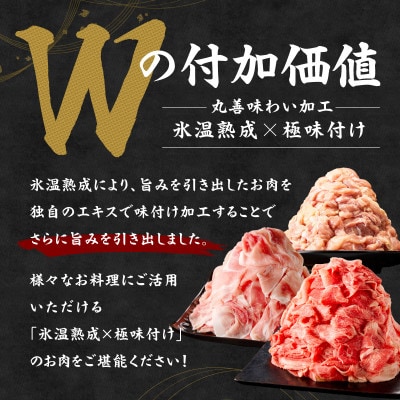 【毎月定期便】国産 牛肉&豚肉&鶏肉セット 5kg【氷温熟成×極味付け】 mrzZ082全2回