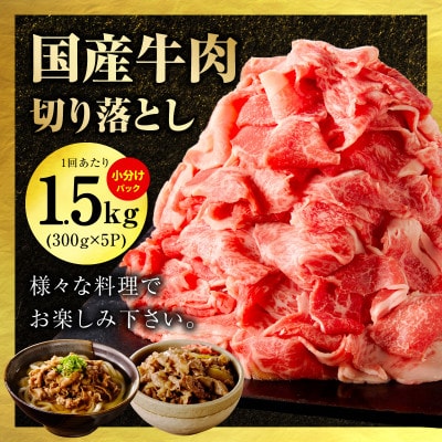 【毎月定期便】国産 牛肉&豚肉&鶏肉セット 5kg【氷温熟成×極味付け】 mrzZ082全2回