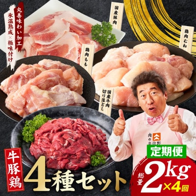 【毎月定期便】国産 牛豚鶏 4種セット 2kg 氷温熟成×極味付け 食べ比べ mrzZ087全4回
