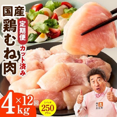 【毎月定期便】国産 鶏むね肉 4kg 氷温熟成×極味付け 小分け カット済み mrzZ102全12回