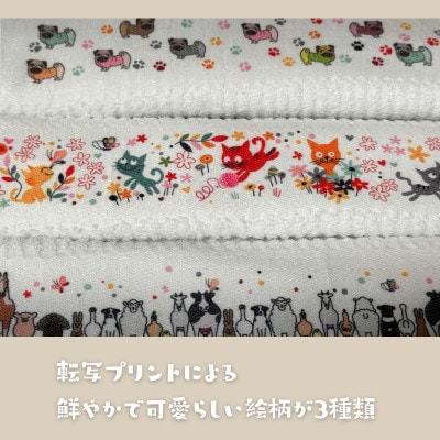 畦織 プリントフェイスタオル　8枚　色柄おまかせ G2149