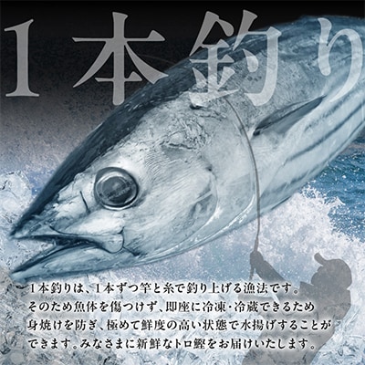 炎のトロ鰹たたき1.2kg備長炭仕上げ　kgp0014