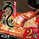中国産　手焼炭火焼うなぎ蒲焼2尾　G1878
