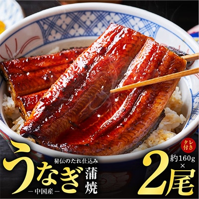 中国産　手焼炭火焼うなぎ蒲焼2尾　kgp0067-1