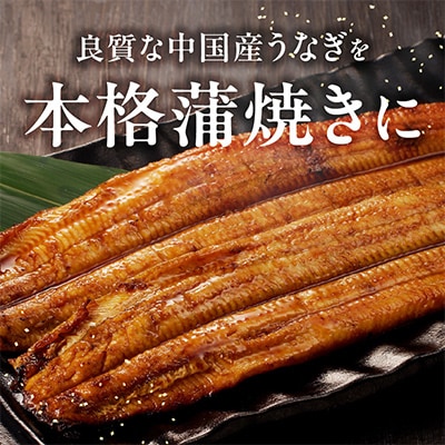 中国産　手焼炭火焼うなぎ蒲焼2尾　kgp0067-1