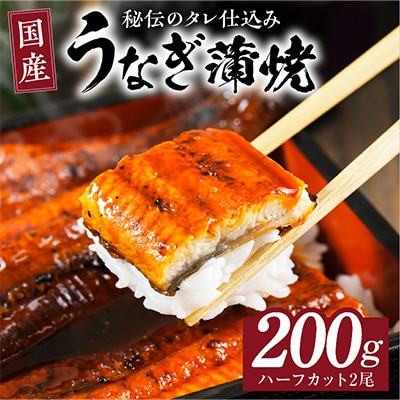 国産うなぎ ハーフカット 合計 200g 秘伝のたれ 蒲焼 訳あり 鰻 ウナギ kgp0037-1
