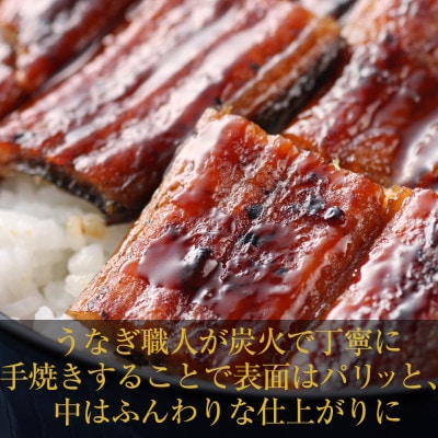 国産うなぎ お試し 230g(鰻1尾 130g+ ハーフカット 100g)訳あり G1851