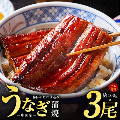 秘伝のたれ仕込み うなぎ蒲焼 (約160g×3尾)鰻 ウナギ 中国産 炭火焼きkgp0066-1