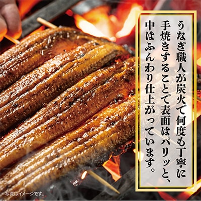 秘伝のたれ仕込み うなぎ蒲焼 (約160g×3尾)鰻 ウナギ 中国産  炭火焼きG1877