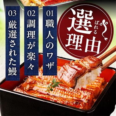 秘伝のたれ仕込み うなぎ蒲焼 (約160g×3尾)鰻 ウナギ 中国産 炭火焼き