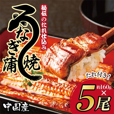秘伝のたれ仕込み うなぎ蒲焼 (約160g×5尾)鰻 ウナギ 中国産 炭火焼き備長炭G1831