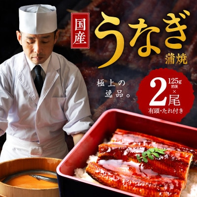 国産うなぎ 合計250g 秘伝のたれ 125g×2尾 有頭 手焼き G1850