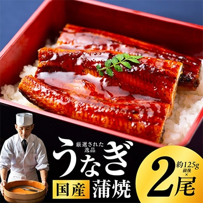 国産うなぎ 合計250g 秘伝のたれ 125g×2尾 有頭 手焼き kgp0039-1