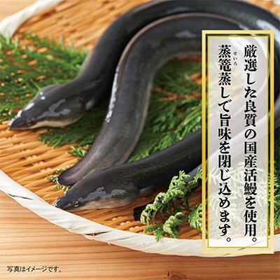 国産うなぎ 合計250g 秘伝のたれ 125g×2尾 有頭 手焼き G1850