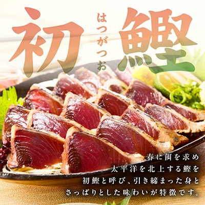 カツオたたき 1kg 初鰹 訳あり サイズ不揃い(3～6節)特製タレ付　kgp0028