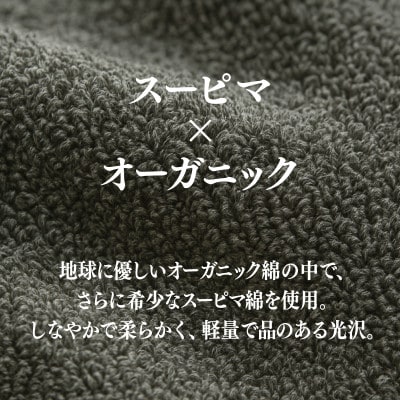 高級泉州タオル ラガマフィン タオルハンカチ 3色3枚セット 010B864