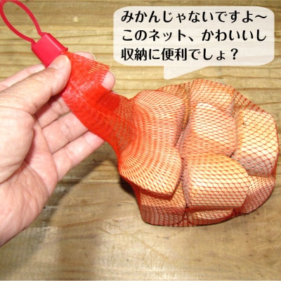 手作り国産桧製、積みづらい積み木「積めますか?」 099H2101