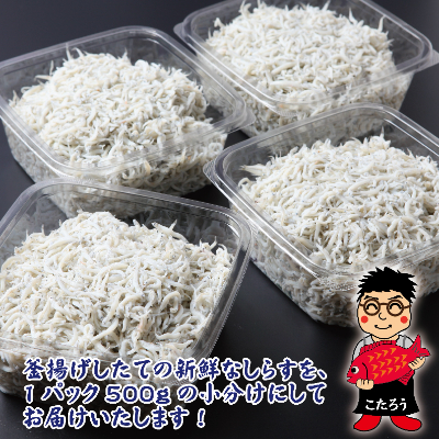 産地直送釜揚げしらす 2 0kg 500g 4パック 010b534 お礼品詳細 ふるさと納税なら さとふる