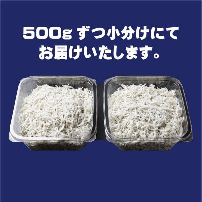 産地直送 釜揚げしらす 1kg(500g×2パック) 099H2330