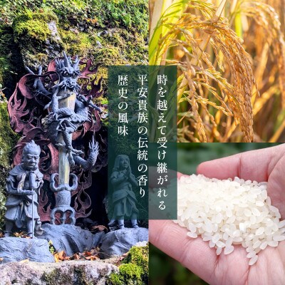 葛城山脈の清流の希少ブランド米「龍神大木の里」精米済み5kg(約33合分)099H2589